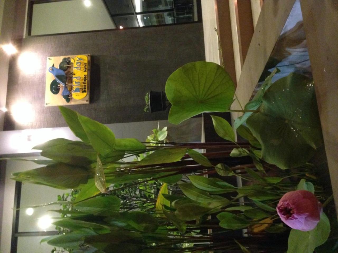 Bird Day Boutique Hotel Mukdahan Eksteriør bilde